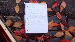 Writing and Recording in the Park