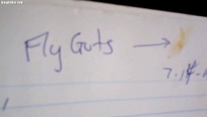 Fly Guts Songwriting