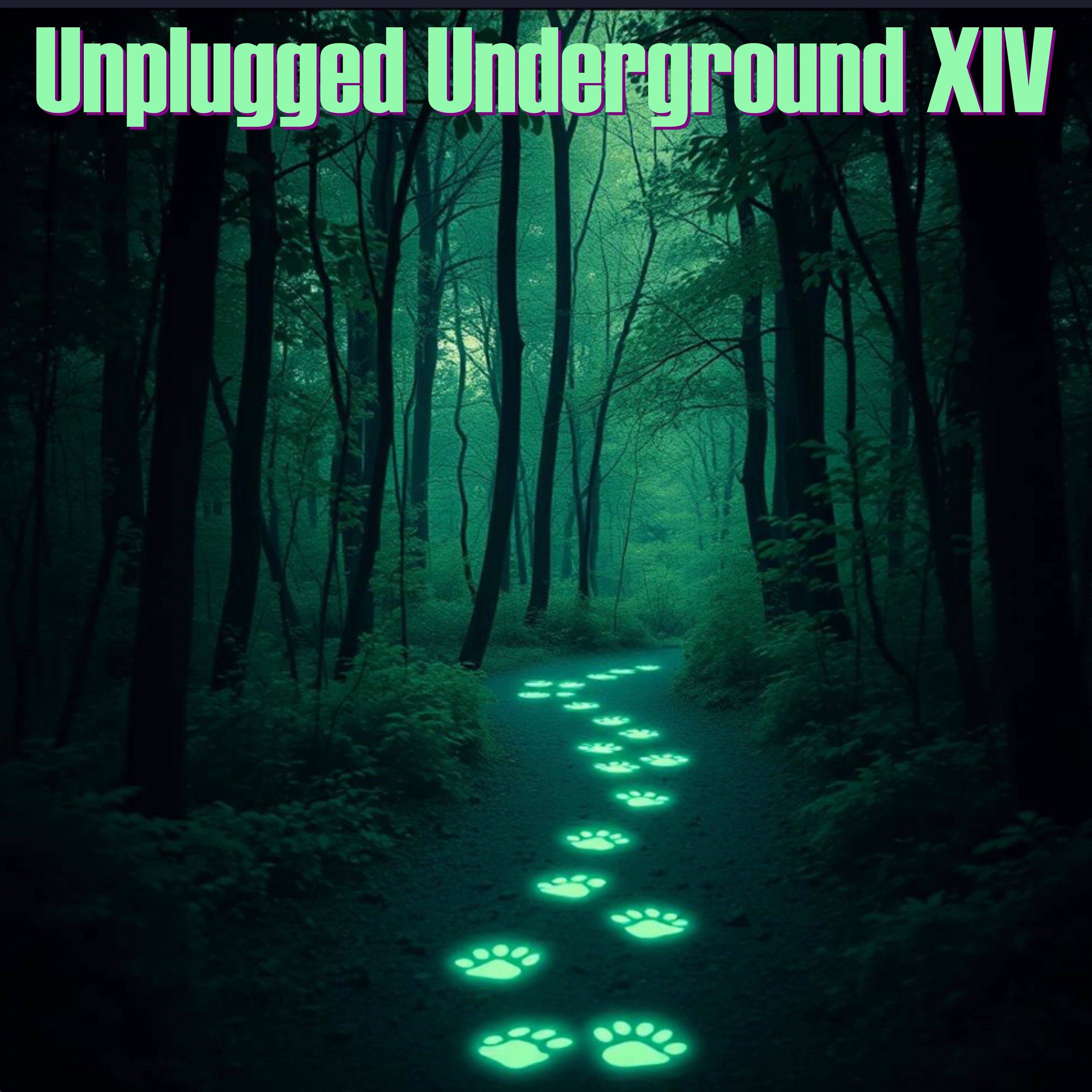 Unplugged Underground XIV