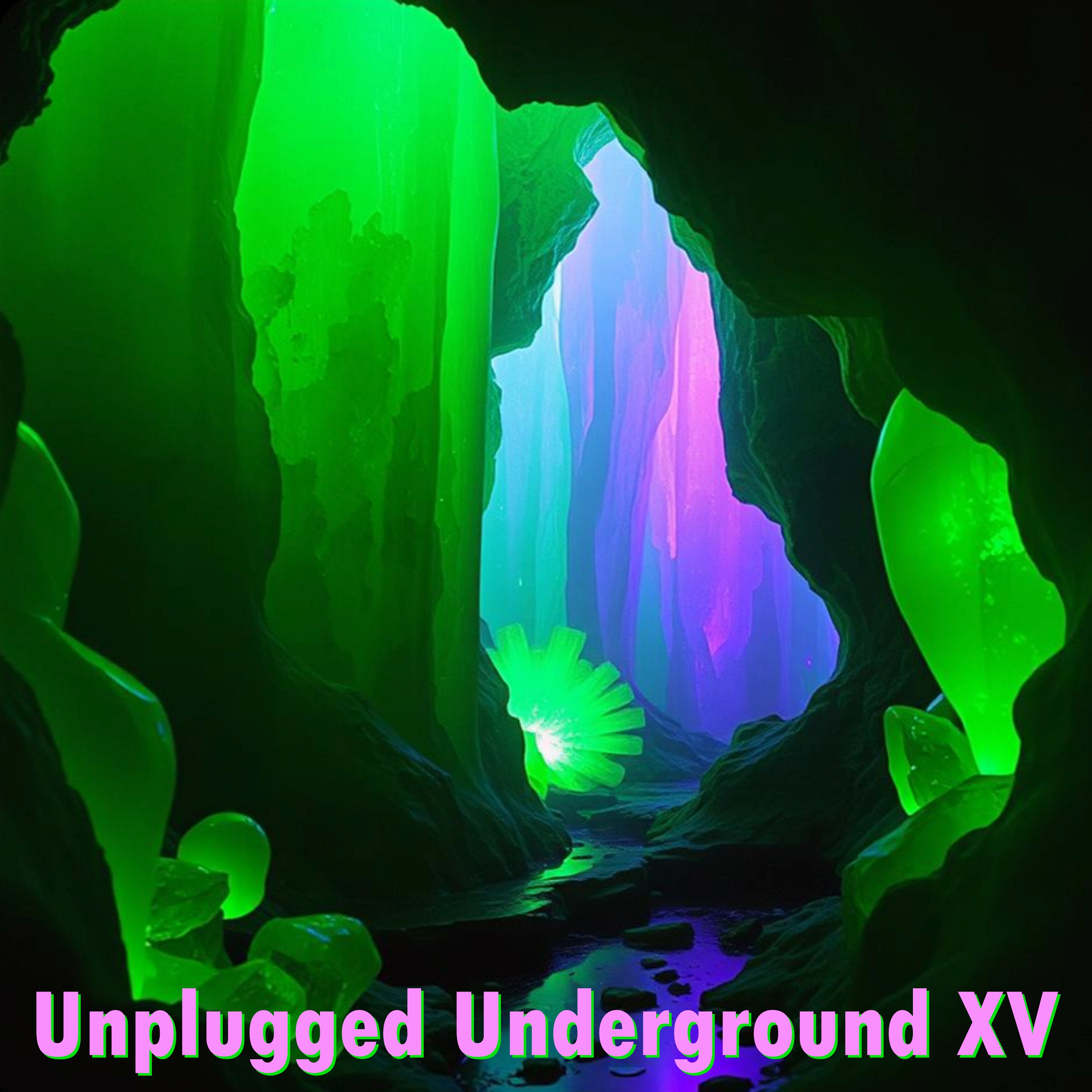 Unplugged Underground XV