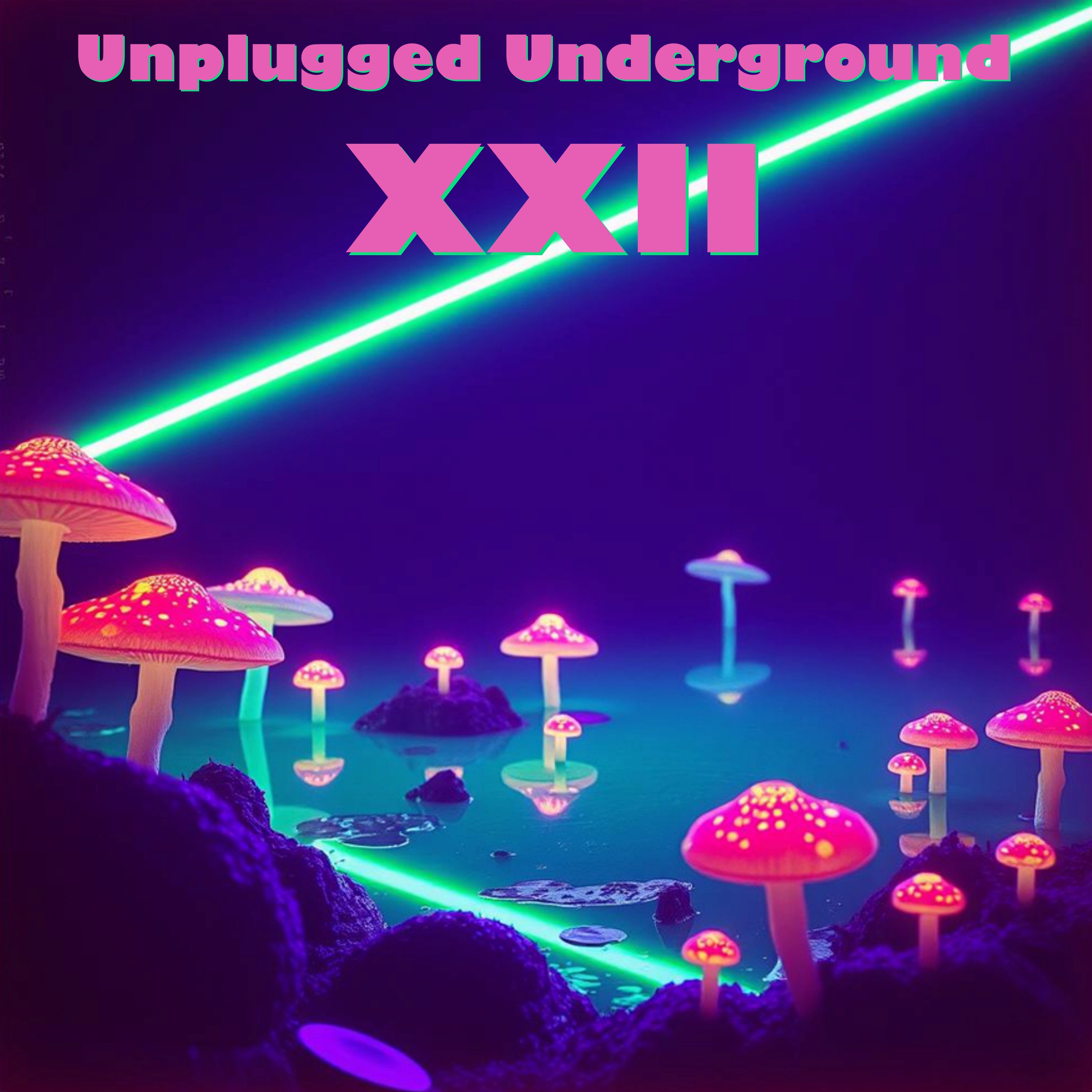 Unplugged Underground XXII